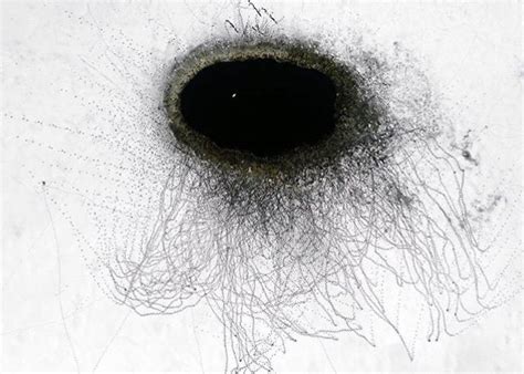 embracing complexity hul le kes