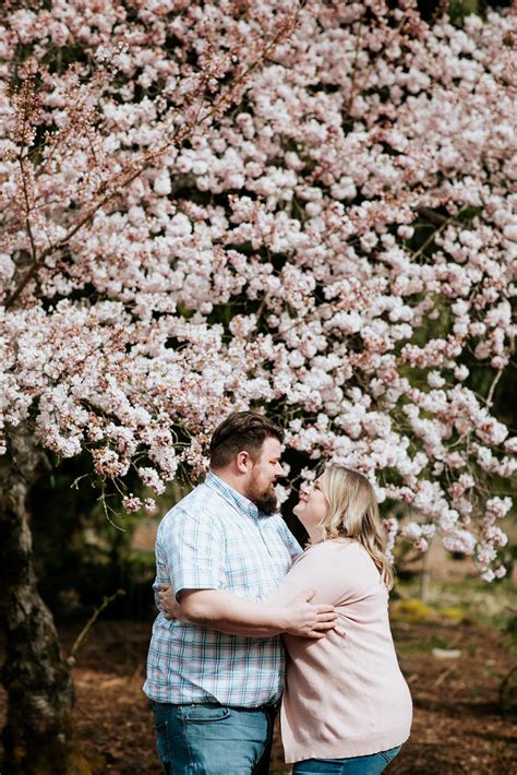 Seattle Cherry Blossom Mini Sessions: Capturing Lifestyle Magic Amidst