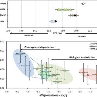 Sulfur isotope compositions of the major biogenic sulfur products ...