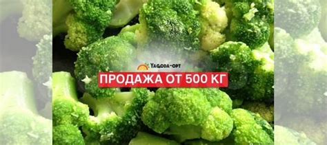 Брокколи замороженная крупный опт купить в Санкт-Петербурге по низкой ...
