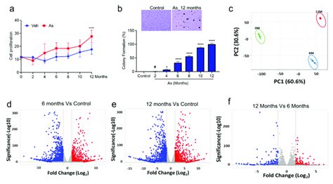 Determination Of Cell Viability Colony Formation Ability Of