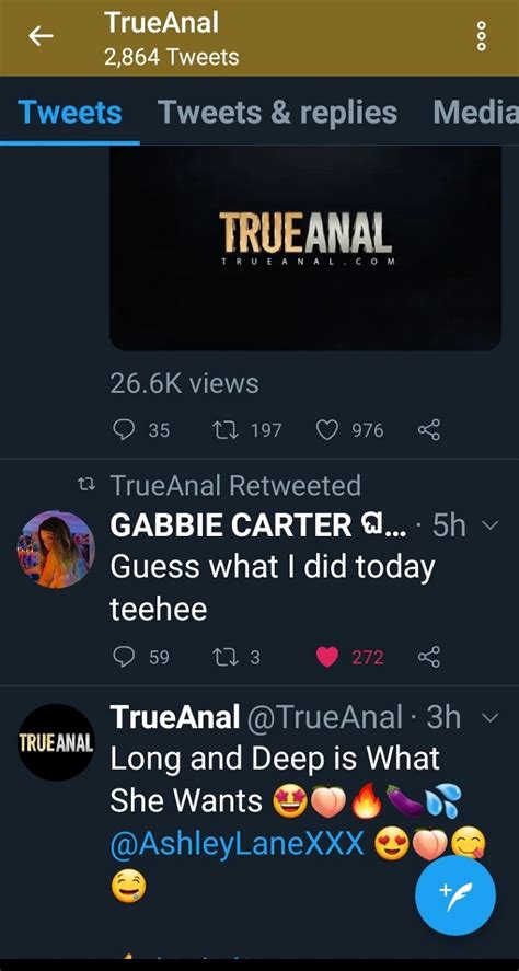 Mike Adriano Director Thread Mike Sites Page Porn Fan Community Forum