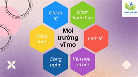 Môi Trường Marketing Là Gì Phân Tích Môi Trường Vi Mô Và Vĩ Mô trong