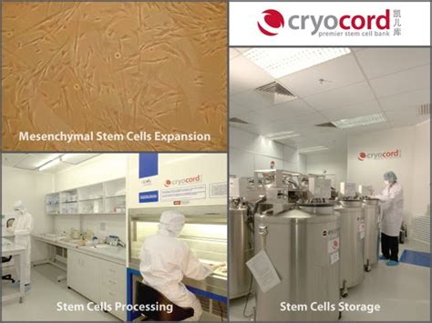 mothers day love  covershots cryocord