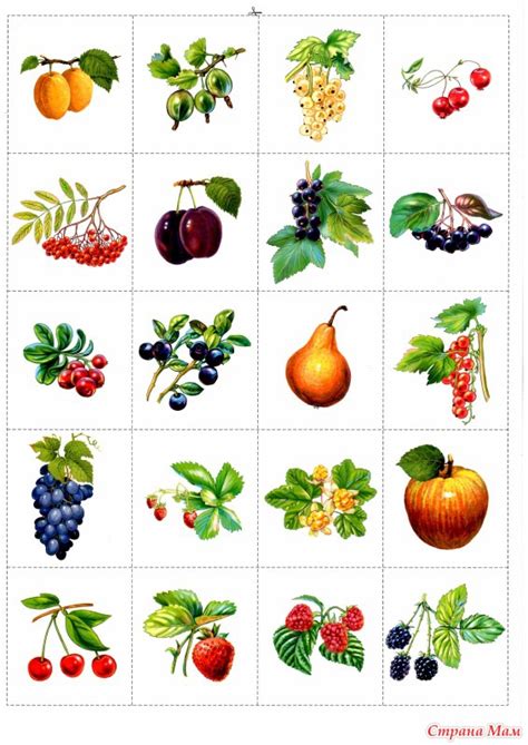 Фото: фотография в альбоме Играйка. Маленькая хозяйка - Страна Мам