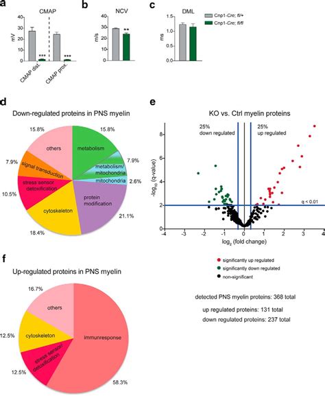 Myelinating Glia Specific Deletion Of Fbxo7 In Mice Triggers Axonal