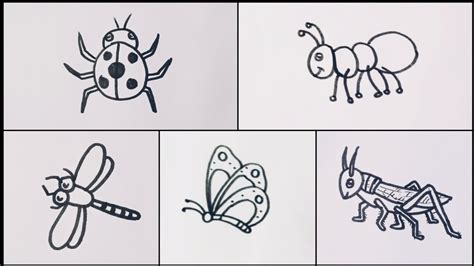 How to draw Insects // easy drawing step by step - YouTube