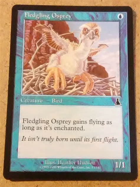 MTG Fledgling Osprey Urza S Destiny 31 144 Regular Common For Sale