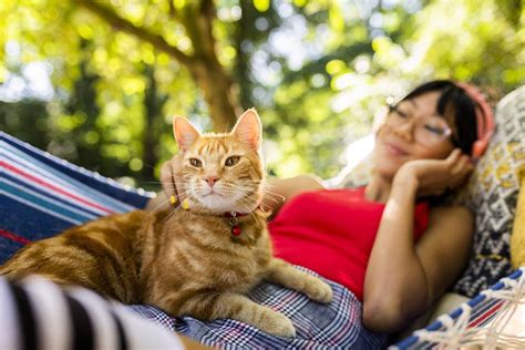 La Importancia De Desparasitar A Tu Mascota En Verano Prensa Total