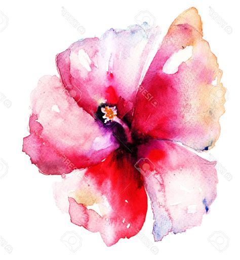 Hibiscus Flower Watercolor At PaintingValley Explore Collection