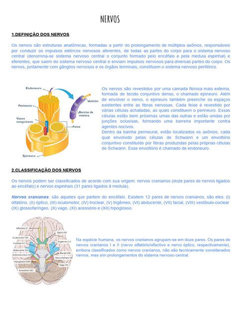 Nervos Resumo Download Grátis Pdf Nervo Neurônio