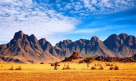 Coisas Sobre A África - [100+] Imagens Da África | Wallpapers.com