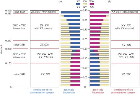 Evolutionary Continua Of Sex Determining Systems For Populations With