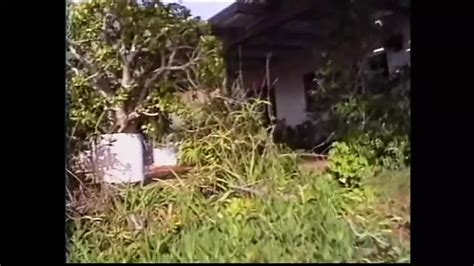 Tammy Parks Porn Videos 2025 Porn Star Sex Scenes XHamster