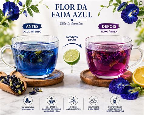 Flor Fada Azul Benefícios - FLOR DA FADA AZUL INTEIRA DESIDRATADA (Blue Butterfly - Clitoria Tern ...
