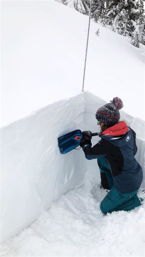 Proview Backcountry Access Snow Saw The Link Gear Reviews
