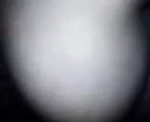 Chandigarh Porn Videos Xhamster