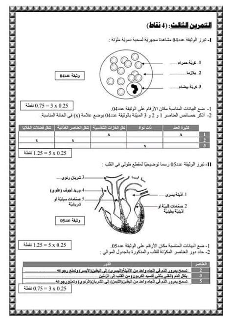 9 ème التاسعة أساسي علوم الحياة والأرض فرض تأليفي عدد 2 علوم الارض و