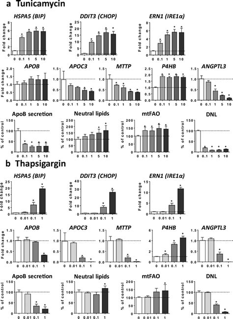 Effects Of Tunicamycin And Thapsigargin On Gene Expression Apob