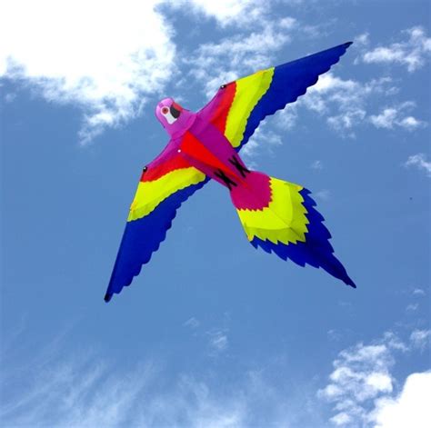 Bird Kite Leading Edge Kites Bird Shaped Single String Kids Kite