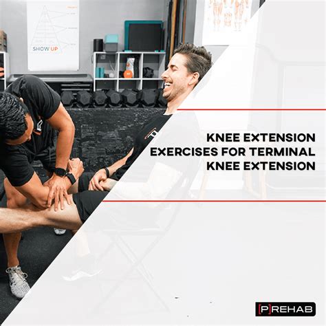 Knee Extension Exercises for Terminal Knee Extension - The Prehab Guys