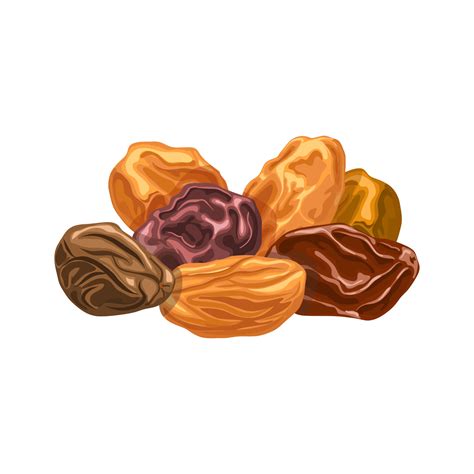 Raisins Dried Fruit Cartoon Vector Illustration 17587702 Vector Art At