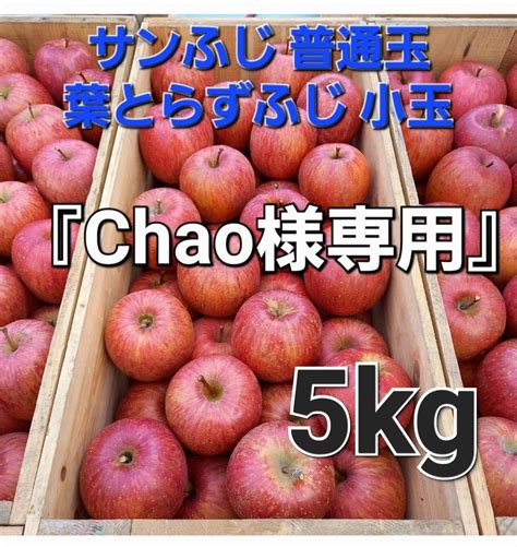 Chao様専用 サン ふじ 普通玉2 5kg 葉とらずふじ 小玉2 5kg 家庭用 青森産 りんご｜paypayフリマ