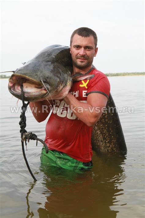 Все о рыбалке