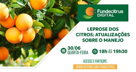 Fundecitrus Promove Webinar Sobre Manejo Da Leprose Dos Citros