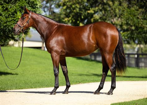 Obituary: Remembering the Life and Legacy of Lindsay Van Zant 12