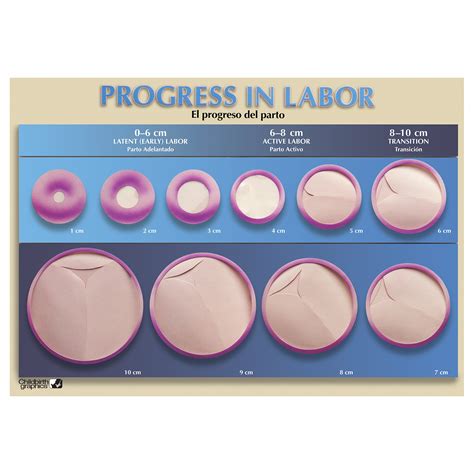 Childbirth Education Products Childbirth Graphics