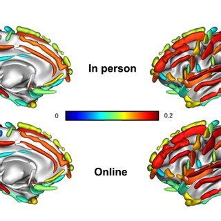 Effects of sex β amyloid burden and APOE status on PLS loadings of Download Scientific