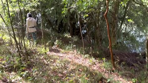 Outdoor Walk Turns Into Fucking XVIDEOS