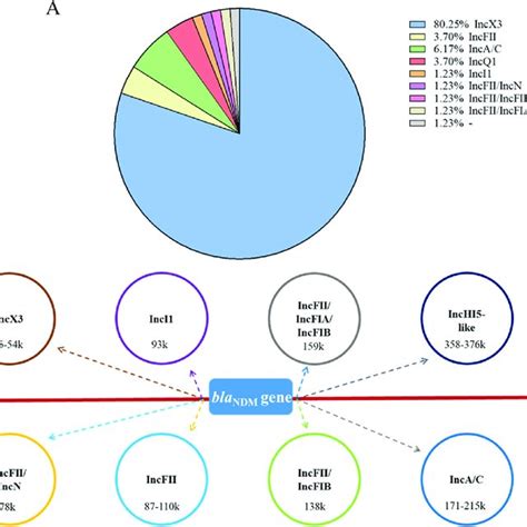 The Distribution Of Different Inc Group Plasmids In All Bla Ndm