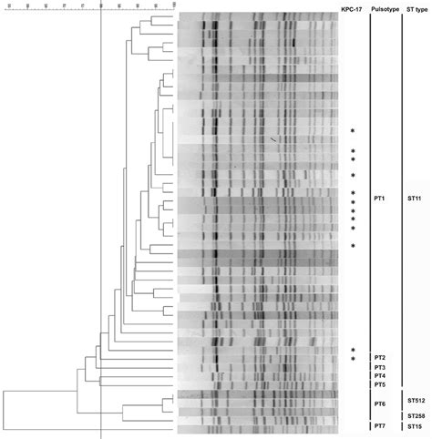 The Relatedness Of Kpc Kps Pfge Dendrogram With The Corresponding Mlst