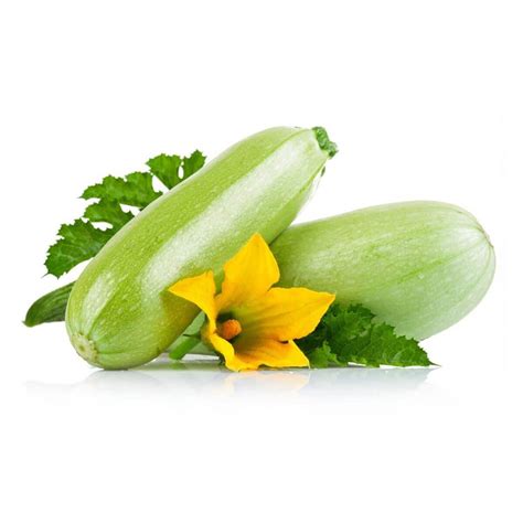 Насіння Кабачок і Кабачок-цукіні оптом від виробника GLSEEDS