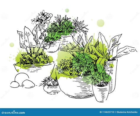 Garden Elements Sketch Stock Vector Illustration Of Line 114625710