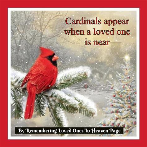 Remembering Loved Ones: A Guide To Grand Junction Colorado Obituaries 9