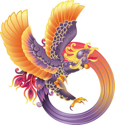 Phoenix Bird Rising Illustrations Royalty Free Vector Graphics And Clip