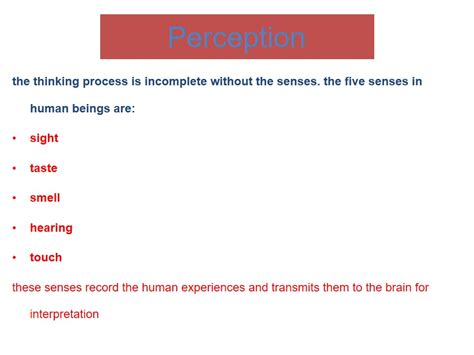 The Study of Human Perception Senses - 1081 Words | Presentation Example