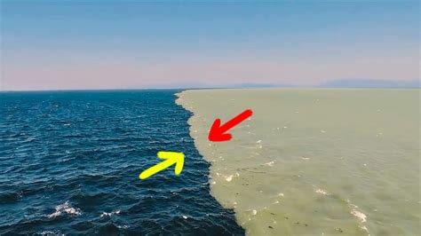Thats Why Two Oceans Dont Mix Youtube