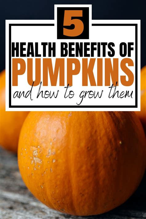 Pumpkins With The Title 5 Health Benefits Of Pumpkins And How To Grow Them