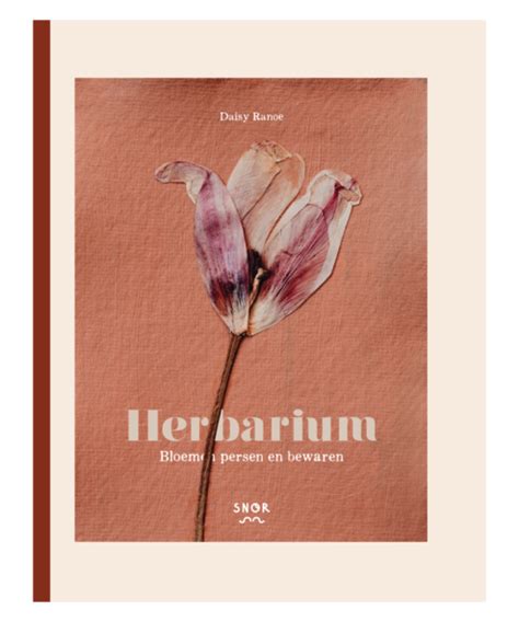 Herbarium - Bloemen persen en bewaren - De Wereld van Snor