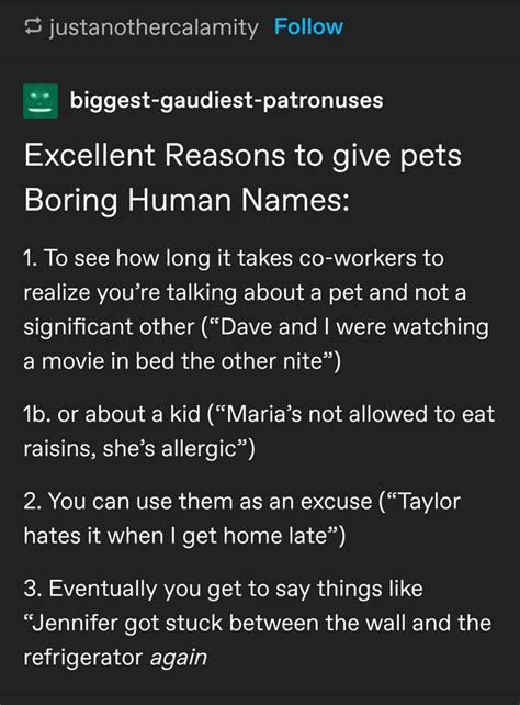 human names rtumblr