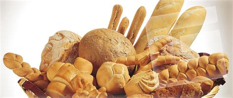 pece pekarske pece retigo delimaster pece na pizzu gastroform