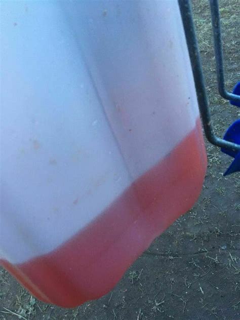 Антисептик Ecosept Огнебио проф огнебиозащитный I группа розовый 11 кг ...