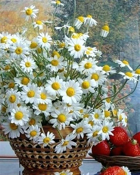 Pin on цветы | Pretty flowers, Happy flowers, Beautiful flowers