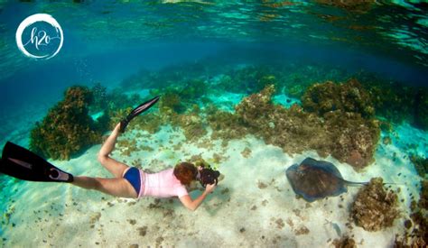 Discover the Marine Life at the Best BVI Snorkeling Spots - H2O Luxury ...