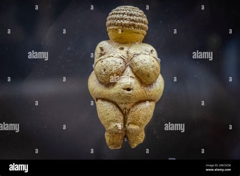 Venus von willendorf -Fotos und -Bildmaterial in hoher Auflösung – Alamy