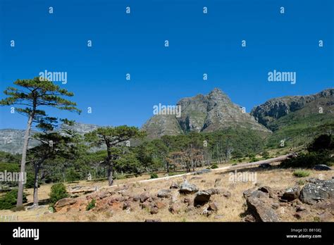 habitat africa  res stock photography  images alamy